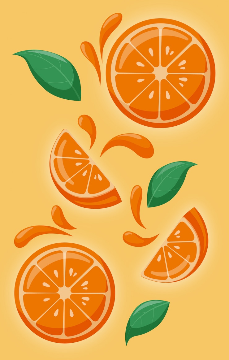 Vecteur oranges douces