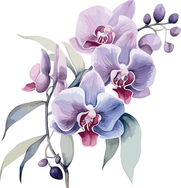 Orchidée Aquarelle Lilas