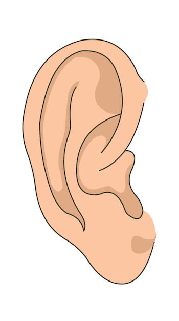 Vecteur une oreille humaine se bouchent