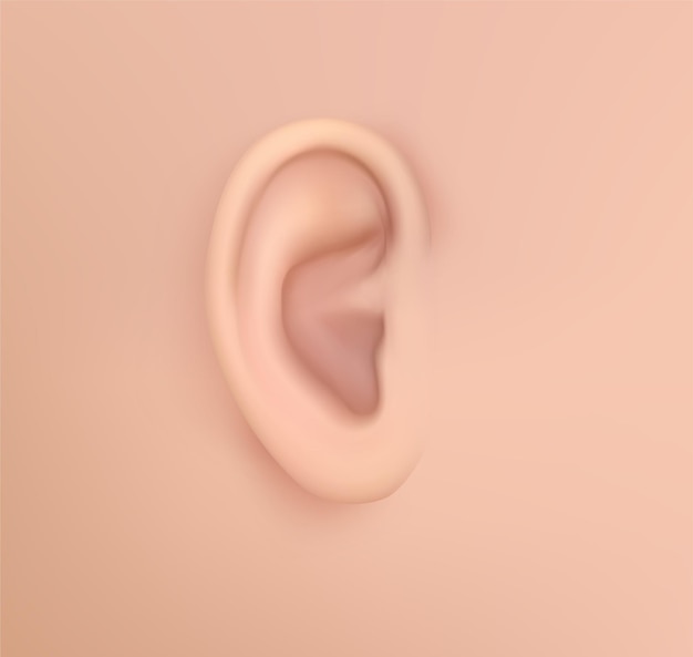 Oreille Humaine De Vecteur. Traitement Auditif, Chirurgie Plastique, Implantation