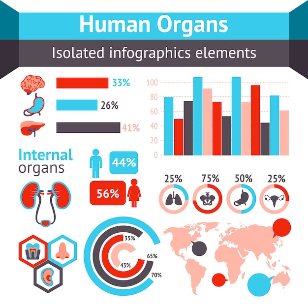 Organes Humains Infographiques