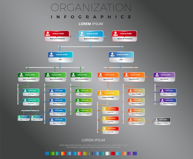 Vecteur organigramme coloré