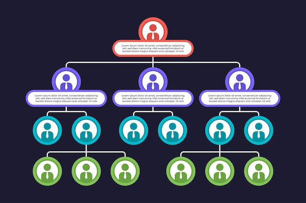 Vecteur organigramme des employés infographie de l'entreprise