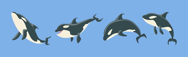 Vecteur orque baleine tueuse grand mammifère marin sur fond bleu jeu de vecteurs