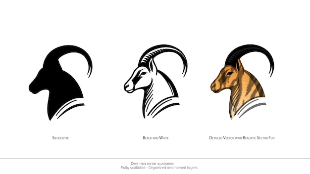 Vecteur oryx illustration vectorielle uniquement pour le visage oryx illustration vectorale détaillée silhouette en noir et blanc organisée et nommée l