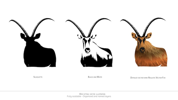 Vecteur oryx standing vector illustration oryx silhouette noir et blanc oryx vecteur détaillé illustration réaliste d'animaux couches organisées et animation vecteur prêt dessin vectoriel réaliste