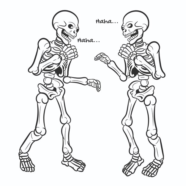 Os Du Squelette Humain Dans Diverses Poses