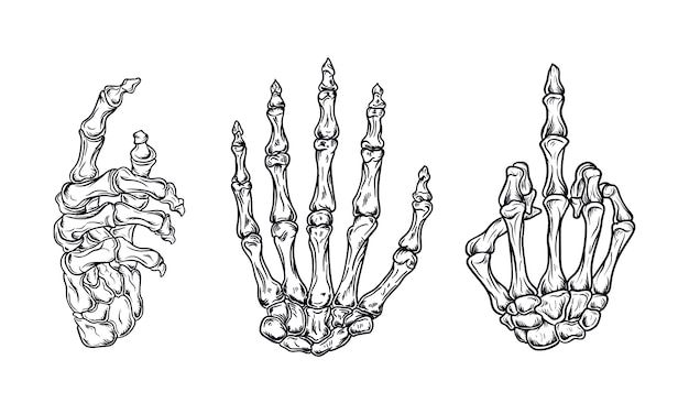 Vecteur os de la main mis illustration vectorielle