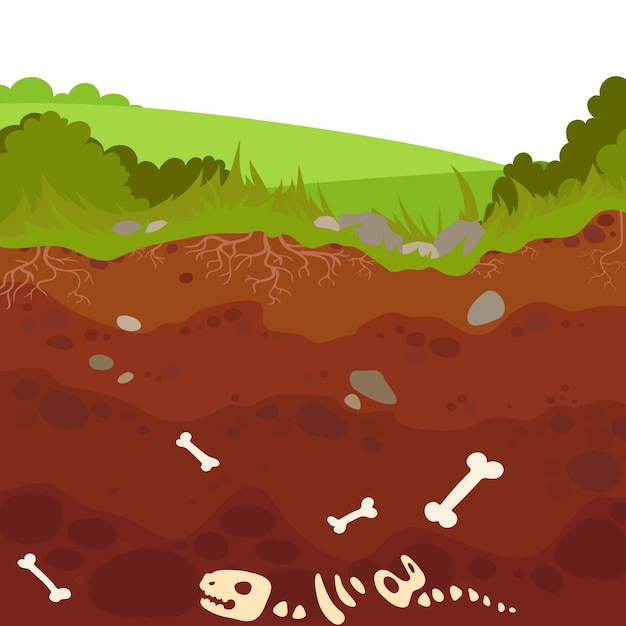 Os de squelette de dinosaure enterré dans la saleté et la couche d'argile souterraine géologie archéologie os dans le sol