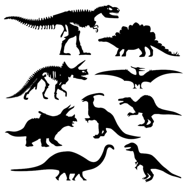 Vecteur os de squelette préhistorique de silhouette de dinosaure.
