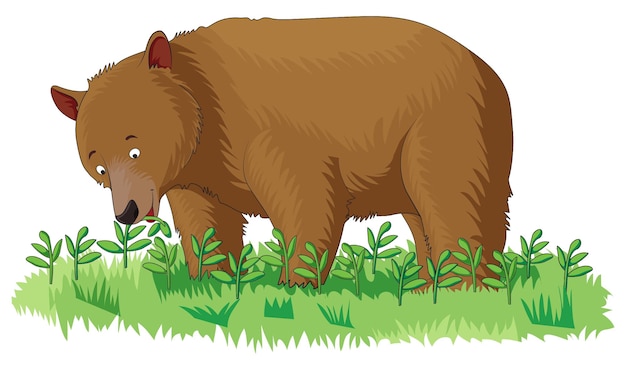 Vecteur un ours mignon mange de l'herbe