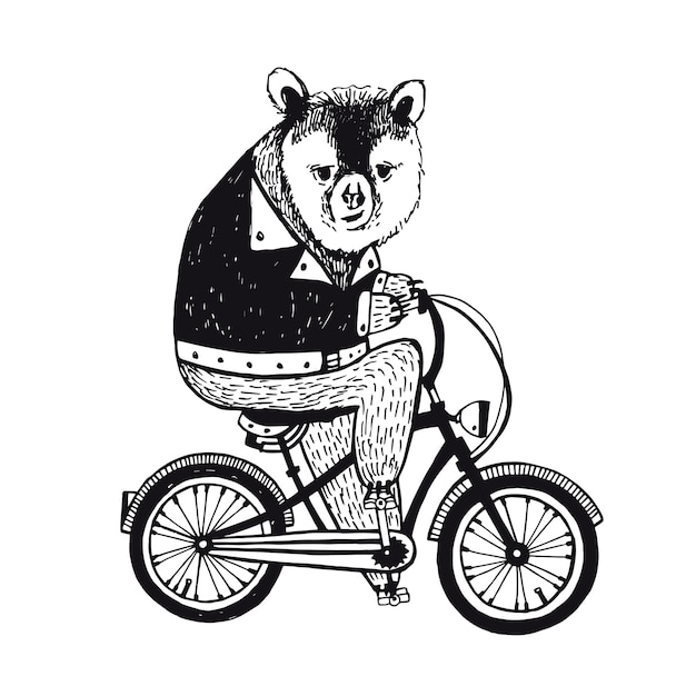 Ours Sur Le Vélo. Illustration Vintage