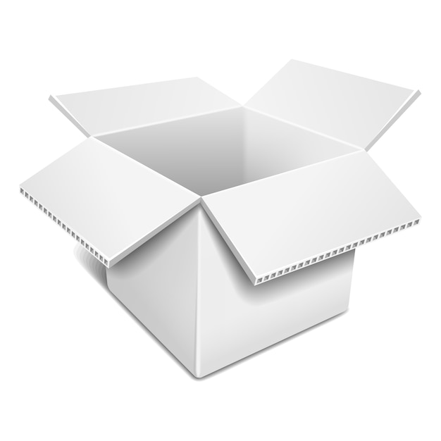 Vecteur ouvrir la boîte en carton blanche