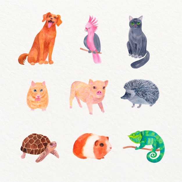 Pack d'animaux différents