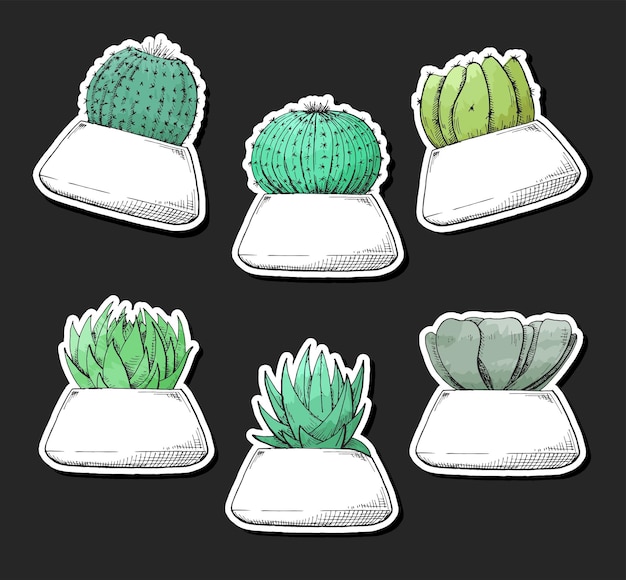 Pack D'autocollants De Plantes Succulentes En Pots. Aquarelle Stylisée. Illustration Vectorielle.