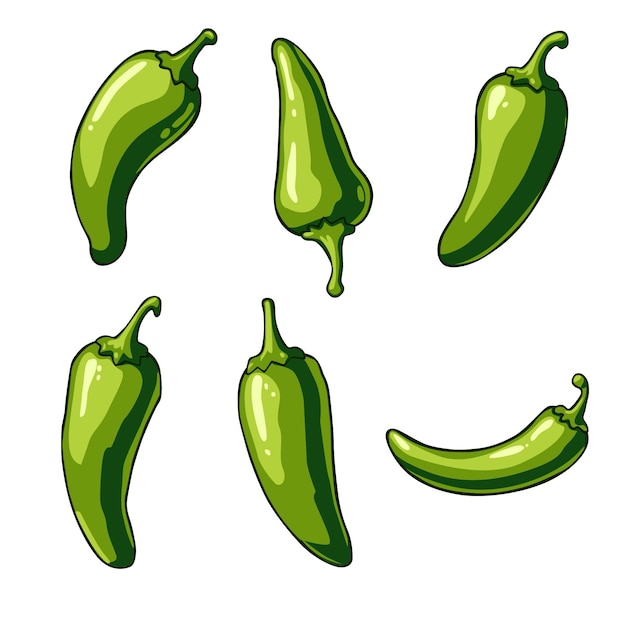 Le pack de conception vectorielle du jalapeno vert