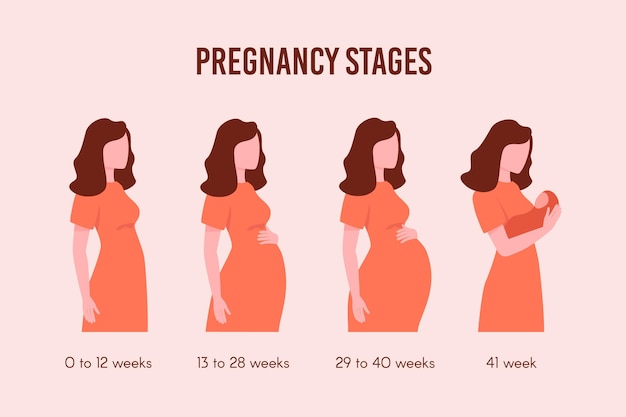 Pack D'étapes De Grossesse Design Plat
