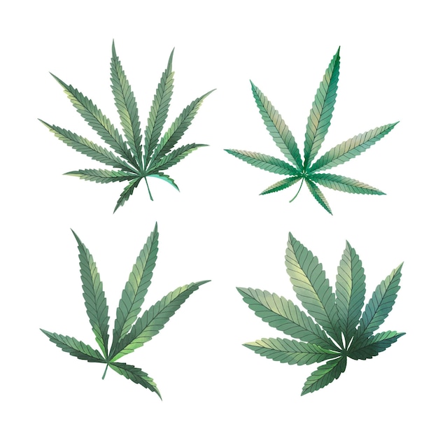 Pack De Feuilles De Cannabis Aquarelle