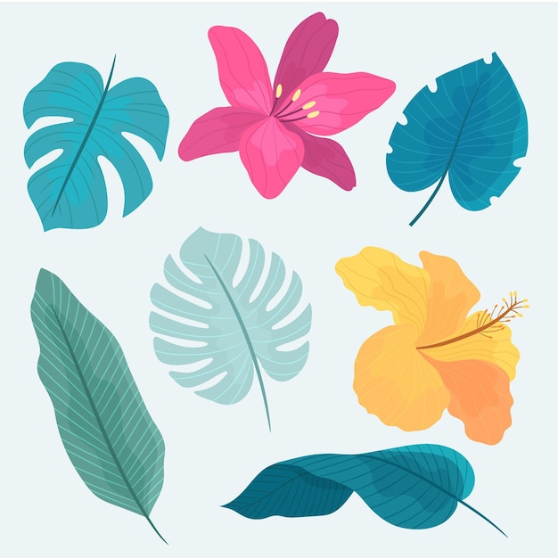 Pack de fleurs et de feuilles tropicales