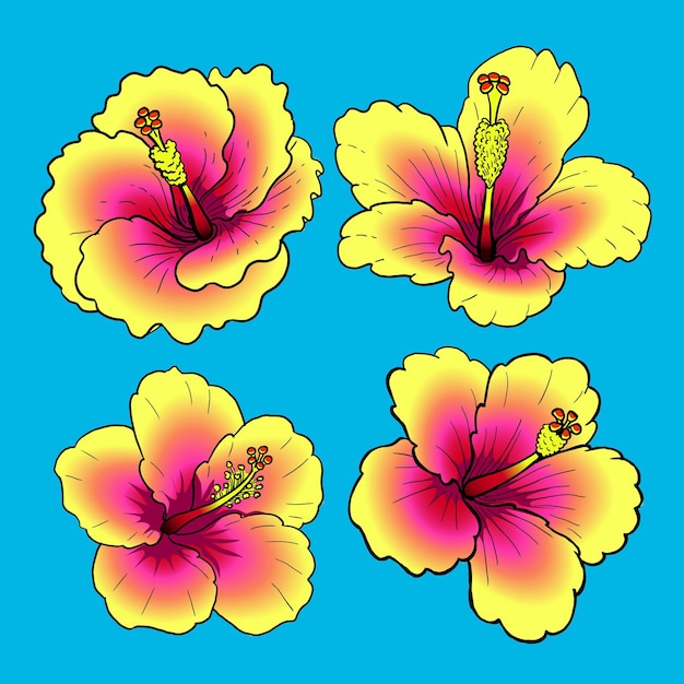 Pack De Fleurs D'hibiscus Rose Jaune Pour La Collection