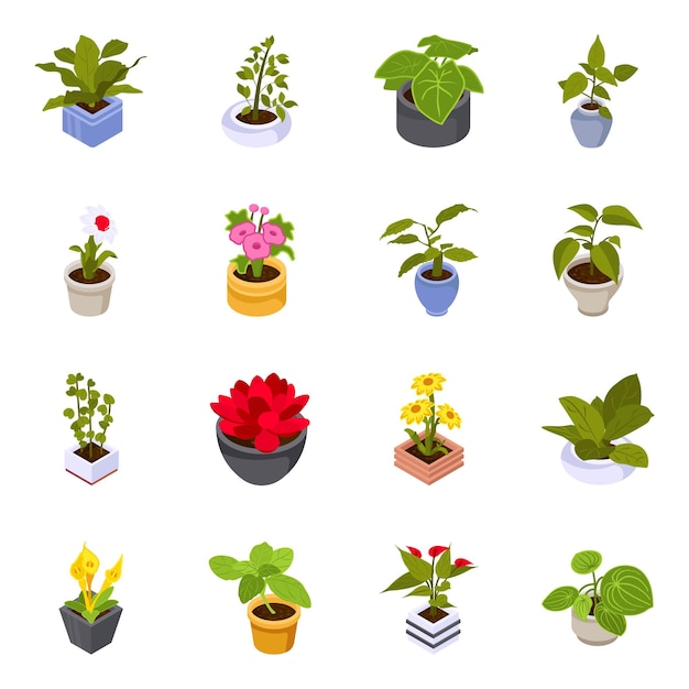 Pack D'icônes Isométriques De Plantes En Pot