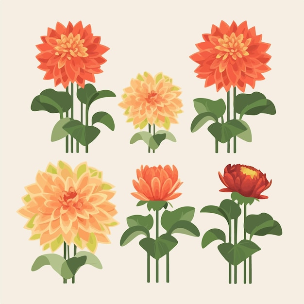 Pack d'illustrations artistiques de fleurs de dahlia avec des détails complexes et une touche artistique