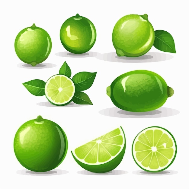 Un pack d'illustrations de citron vert avec des citrons verts entiers et des tranches coupées