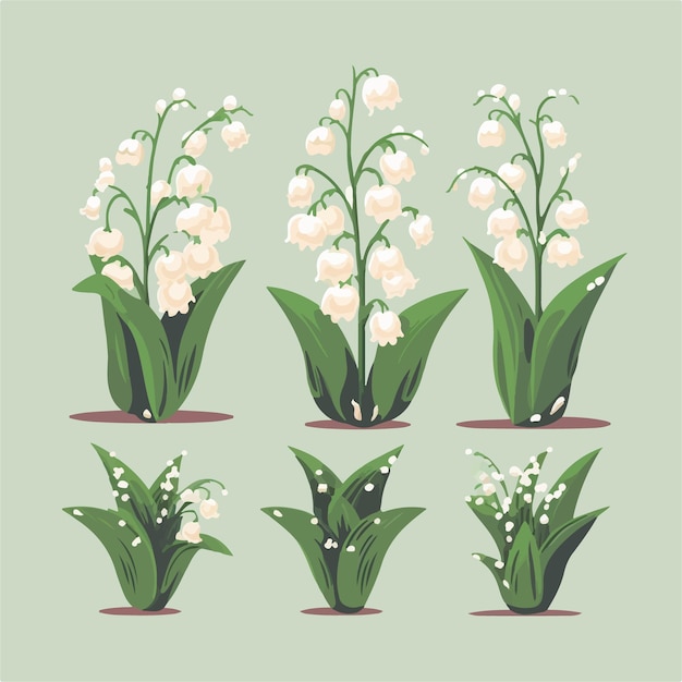 Vecteur pack d'illustrations élégantes de muguet à des fins de marque