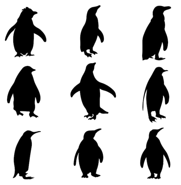 Pack de silhouette de pingouin