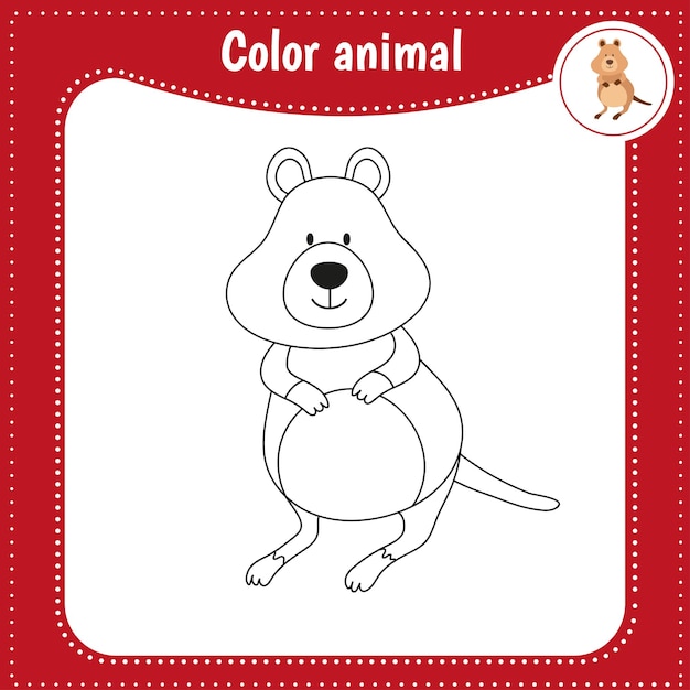 Page De Coloriage D'animaux De Dessin Animé Mignon Pour Les Enfants Jeu éducatif Pour Les Enfants Illustration Vectorielle Couleur Quokka