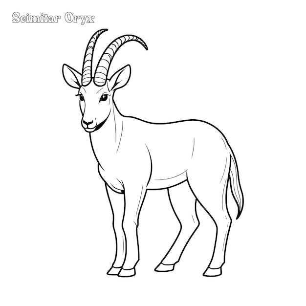 Vecteur page de coloriage dessinée à la main et dessin vectoriel de contour de l'oryx à cornes de scimitar