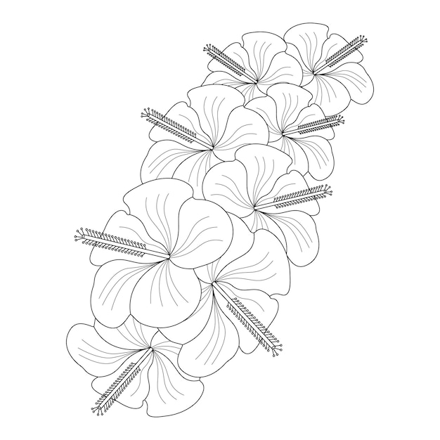 Vecteur page de coloriage de fleur d'hibiscus de croquis de fleur d'art de ligne de doodle de livre avec graphique vectoriel