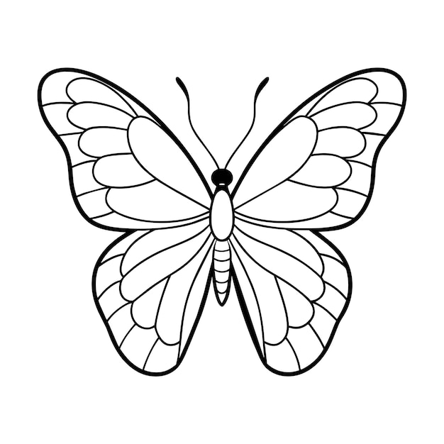 Vecteur page de coloriage d'illustration de papillon pour enfants