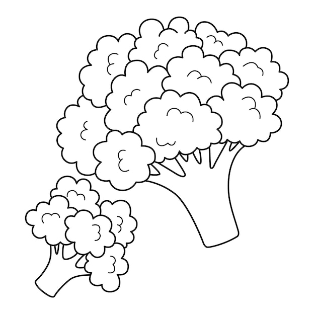 Vecteur page de coloriage isolée de légumes de brocoli pour les enfants
