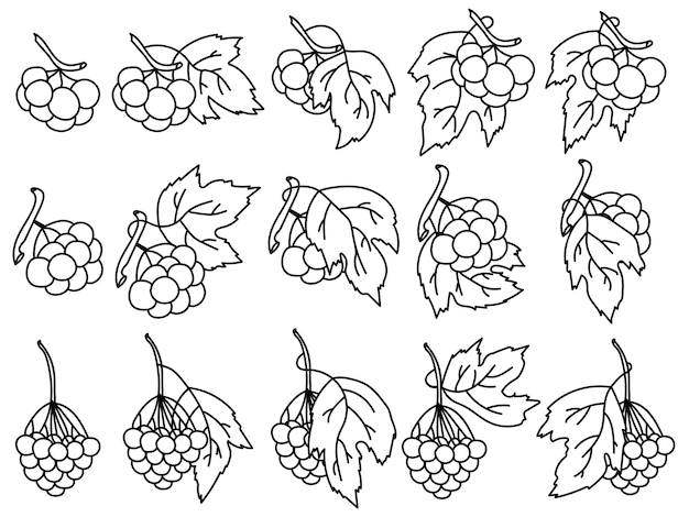 Page De Coloriage De Jeu De Contour De Groupe De Viburnum Ou Contour Pour La Conception