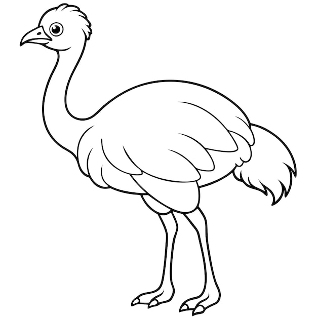 Page de coloriage des oiseaux émues