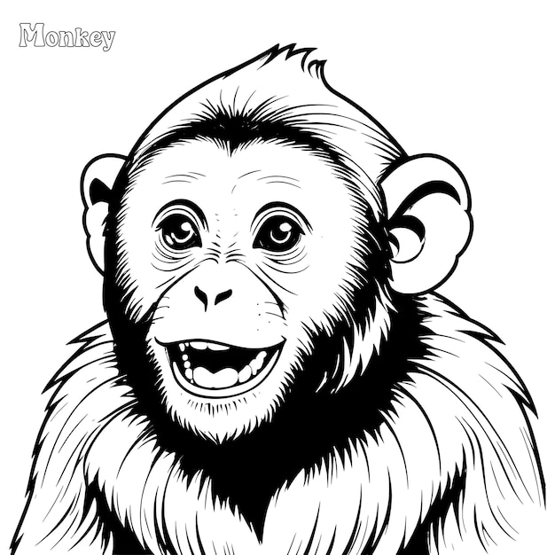 Vecteur page à colorier dessinée à la main par le singe et conception vectorielle de contour
