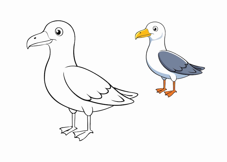 Vecteur une page à colorier de la mouette occidentale représente un grand oiseau de mer avec un corps blanc, des ailes grises et un bec jaune.