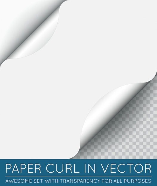 Vecteur page de papier curl avec ombre isolée.