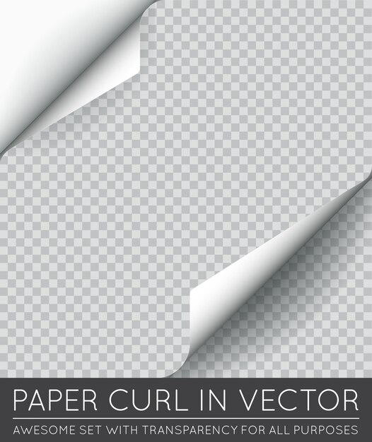 Vecteur page de papier curl avec ombre isolée.