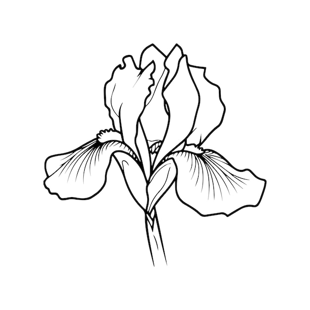 Vecteur des pages à colorier avec des fleurs