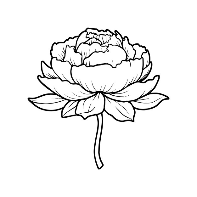 Vecteur des pages à colorier avec des fleurs