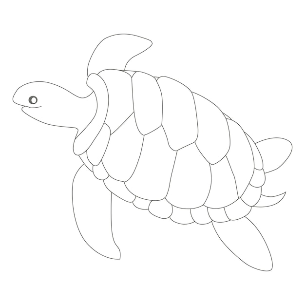 Vecteur pages de livre de coloriage de tortue pages de livre de coloriage pages de livre de coloriage pour enfants