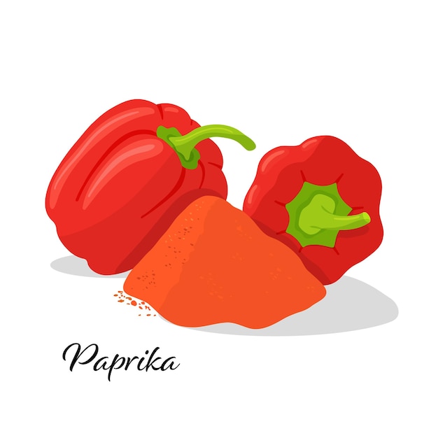 Vecteur paire de poivrons rouges et illustration vectorielle de paprika isolé sur blanc assaisonnement épicé pour la cuisson dans la cuisine