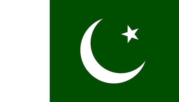 Vecteur pakistan drapeau vert blanc couleur illustration vectorielle