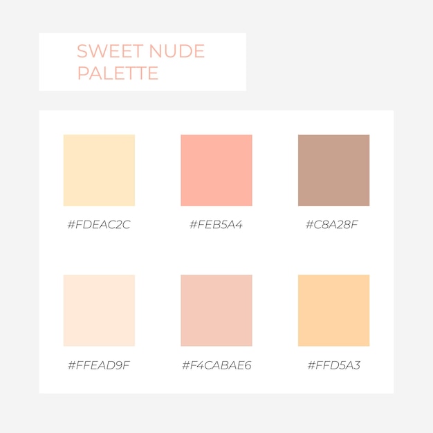 Palette De Couleur Tendance. Palette De Couleurs Nude Confortable. Swatch Ton Pastel Avec Code Hexadécimal. Codes Hexadécimaux