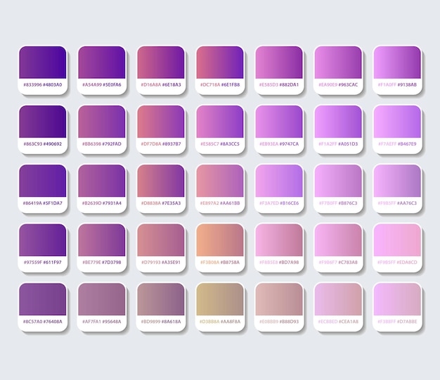 Vecteur palette de couleurs dégradé violet avec hexagone