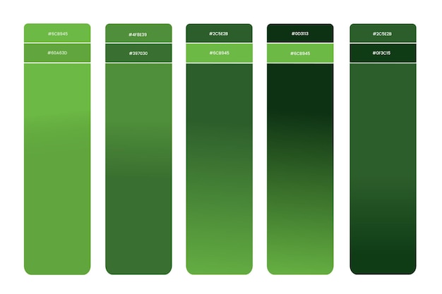 Palette de couleurs Gradient Des échantillons de couleurs en RGB Palette de peinture Des couleurs vives dans le catalogue de codes HEX