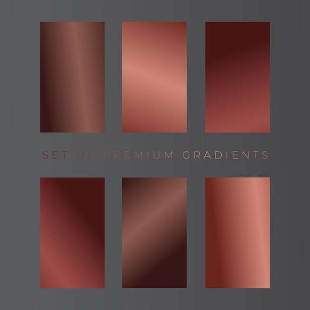 Palette de couleurs en gradient avec des éléments vectoriels