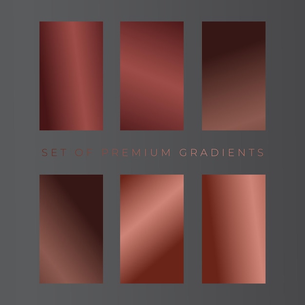 Palette de couleurs en gradient avec des éléments vectoriels